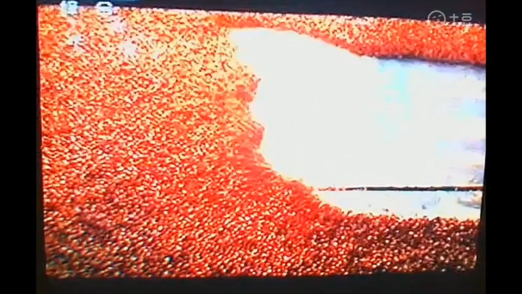 [图]（放送文化）CCTV1--《2012央视中秋晚会》开始前广告一段+《2012央视中秋晚会》op