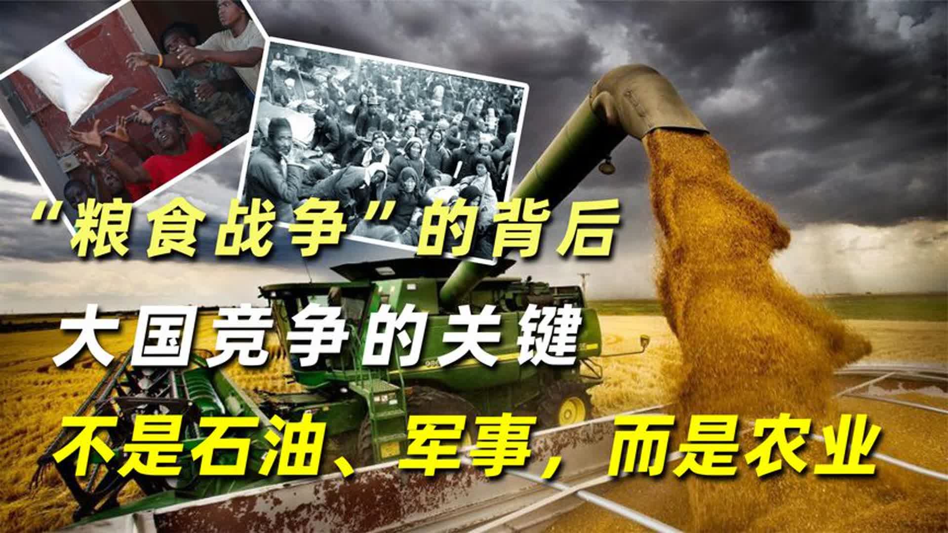 “粮食战争”的背后:大国竞争的关键,不是石油、军事,而是农业哔哩哔哩bilibili