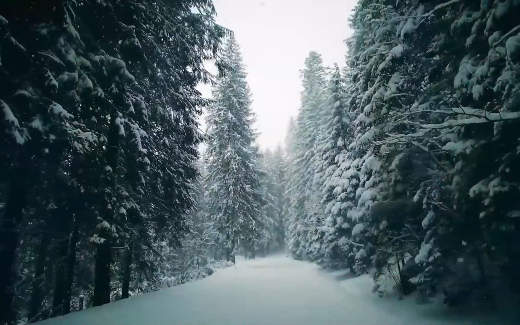 [图]【坂本龙一】治愈系雪景 无尽的孤独-Solitude