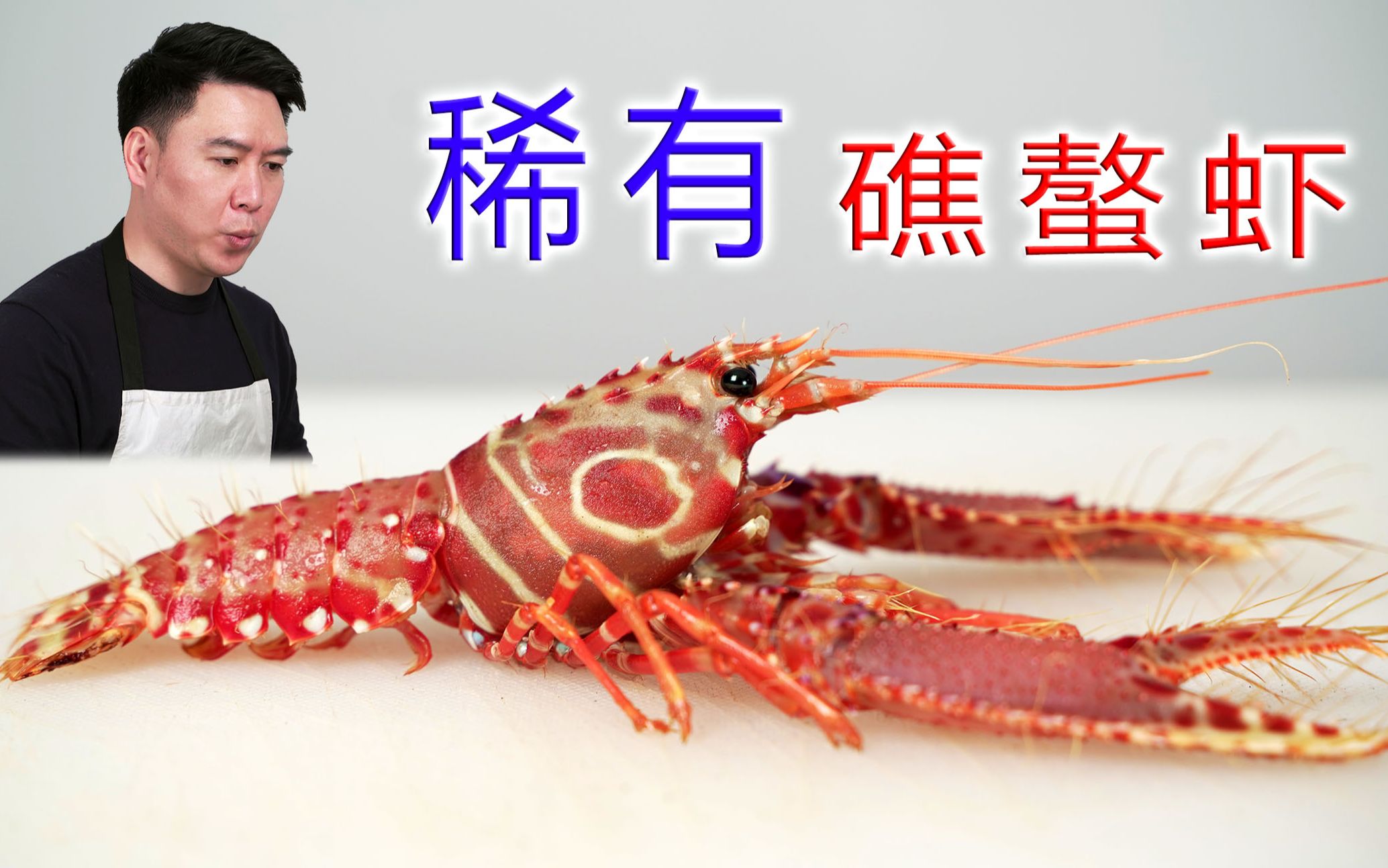 海螯虾或挪威龙虾高清摄影大图-千库网
