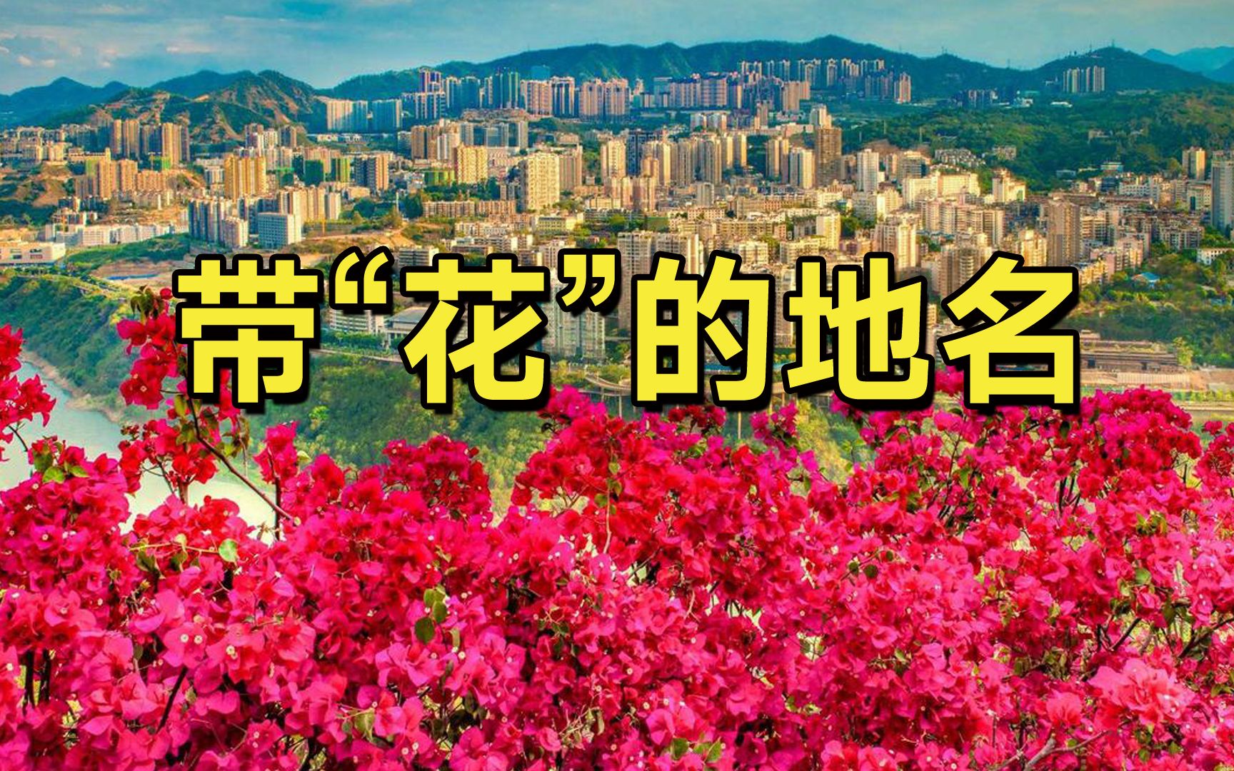 地名飞花令:带“花”字的县级及以上政区名哔哩哔哩bilibili