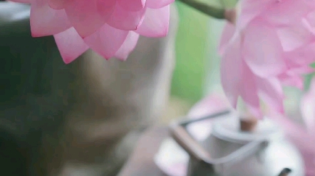 [图]樂記 节选一