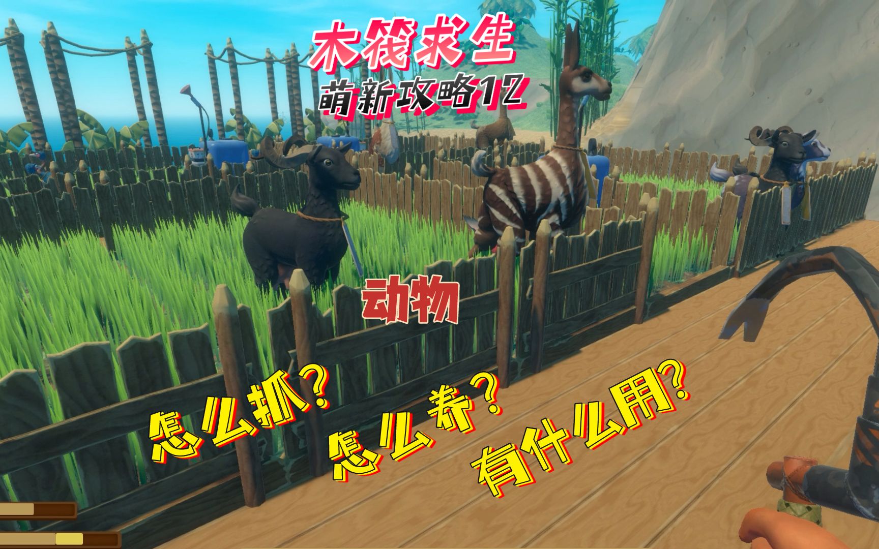 活动作品raft木筏求生新手攻略12动物怎么抓怎么养有什么用