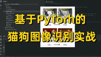研一、研二必学！猫狗识别代码详解一迪哥手把手带你基于TensorFlow+CNN实现猫狗二分类，学完就能跑通！