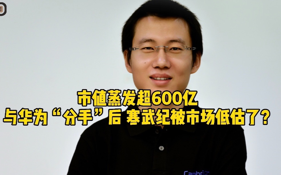 市值蒸发超600亿,与华为“分手”后,寒武纪被市场低估了?哔哩哔哩bilibili