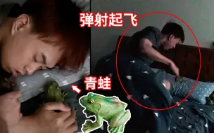 下载视频: 帮兄弟克服恐惧！趁他熟睡！把几十只青蛙放在床上！他吓得原地起飞！