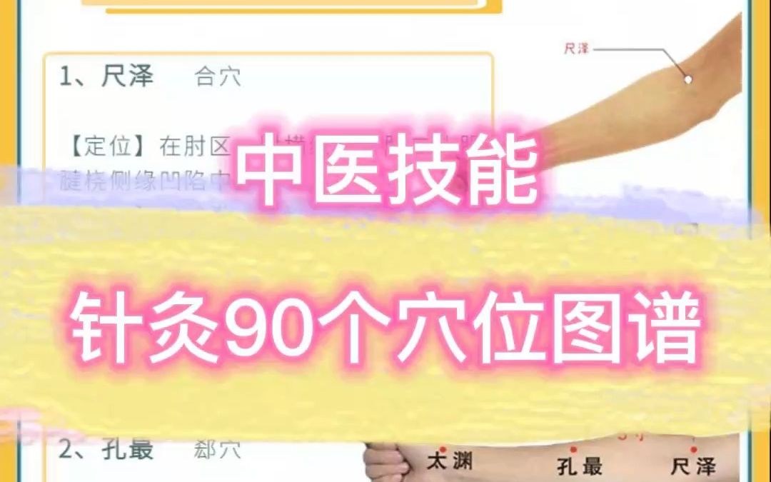 中医技能 针灸90个穴位图谱4哔哩哔哩bilibili