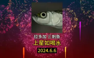 Download Video: 【俄罗斯钓鱼4】星三刺鱼，有手就行！