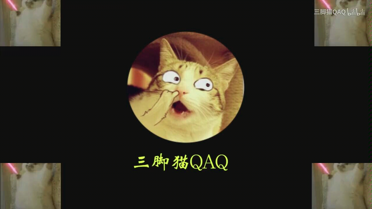 [图]来自三脚猫QAQ的视频（已删）