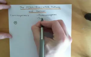 【PI3K/AKT/mTOR信号通路与肿瘤】The PI3K/AKT/mTOR Pathway and Cancer Part 1