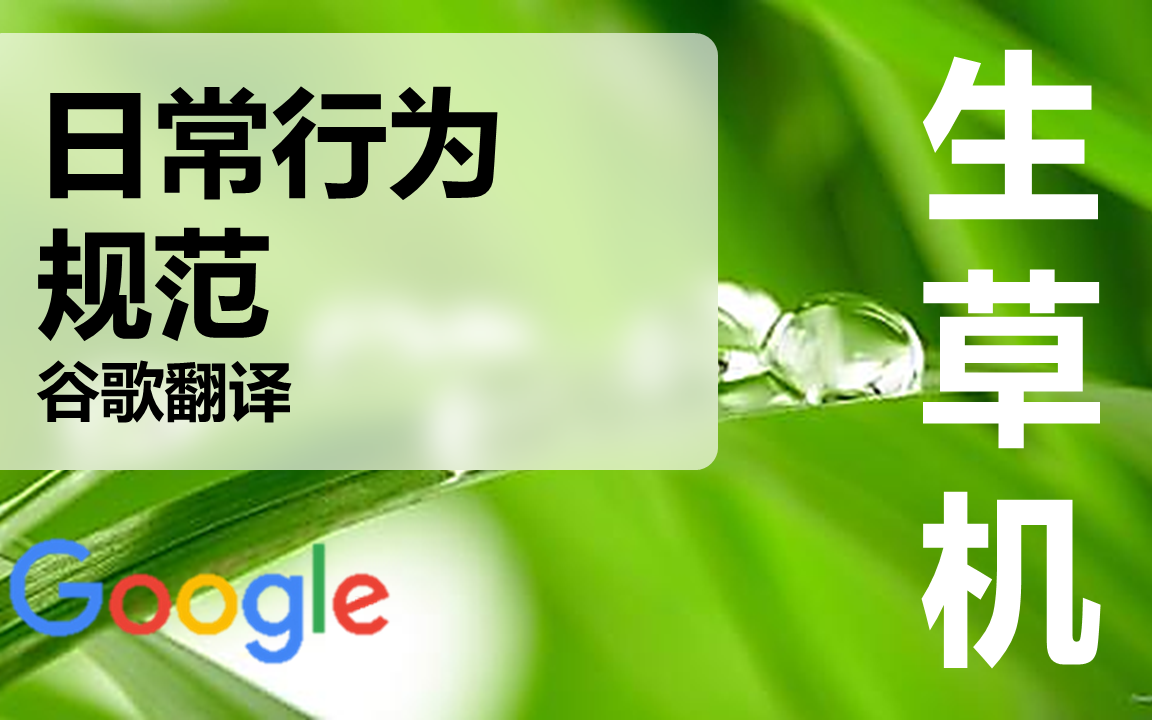 谷歌翻译20次 中小学生日常行为规范 建议改为:熊孩子准则(下)哔哩哔哩bilibili