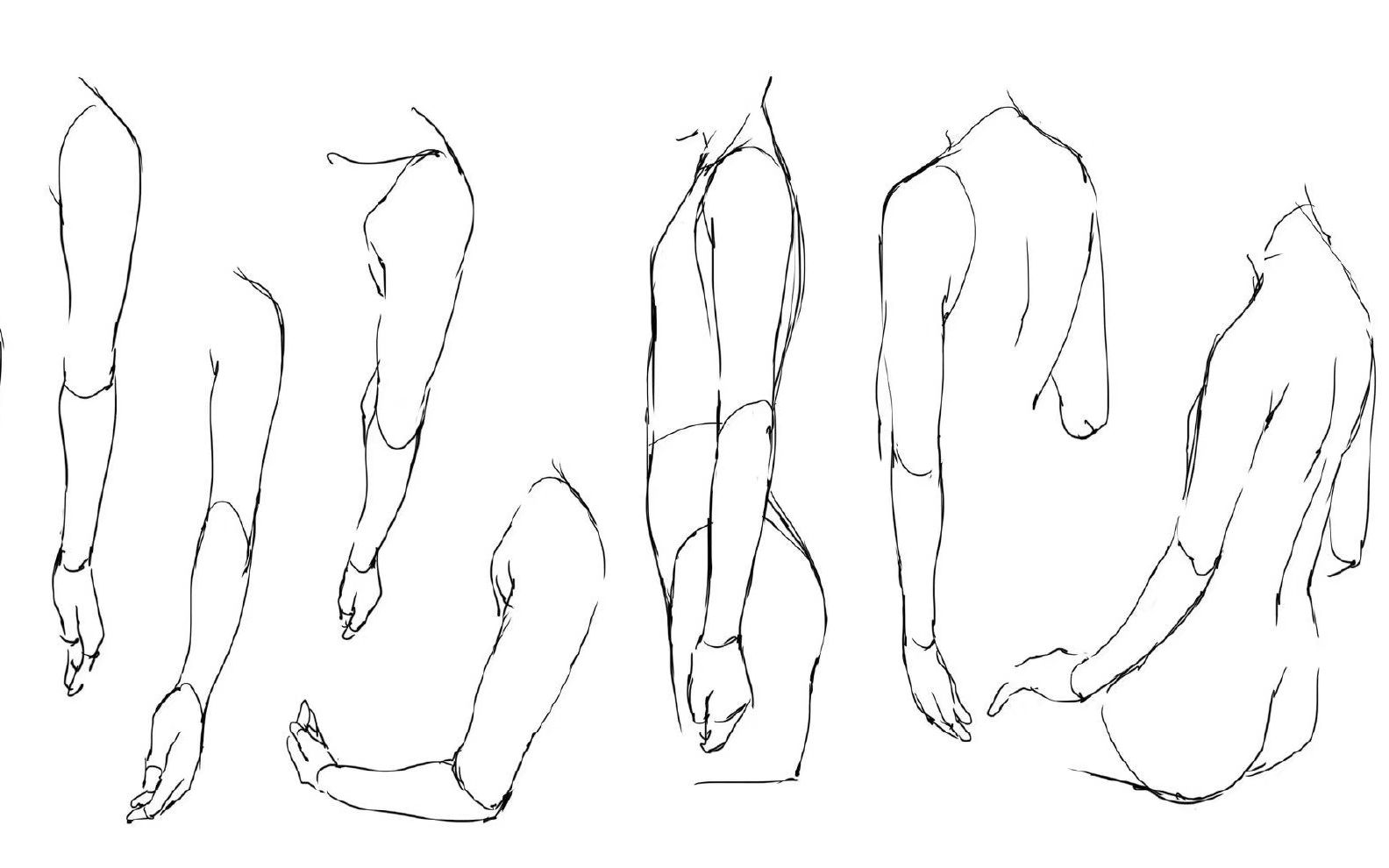 人物手臂动态结构化法萌新练习第一步