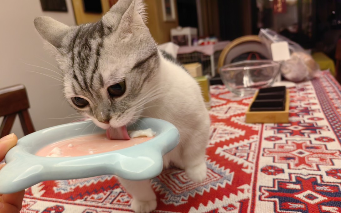 吃夜宵啦啦啦啦