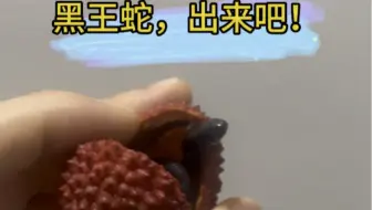 神兽登场