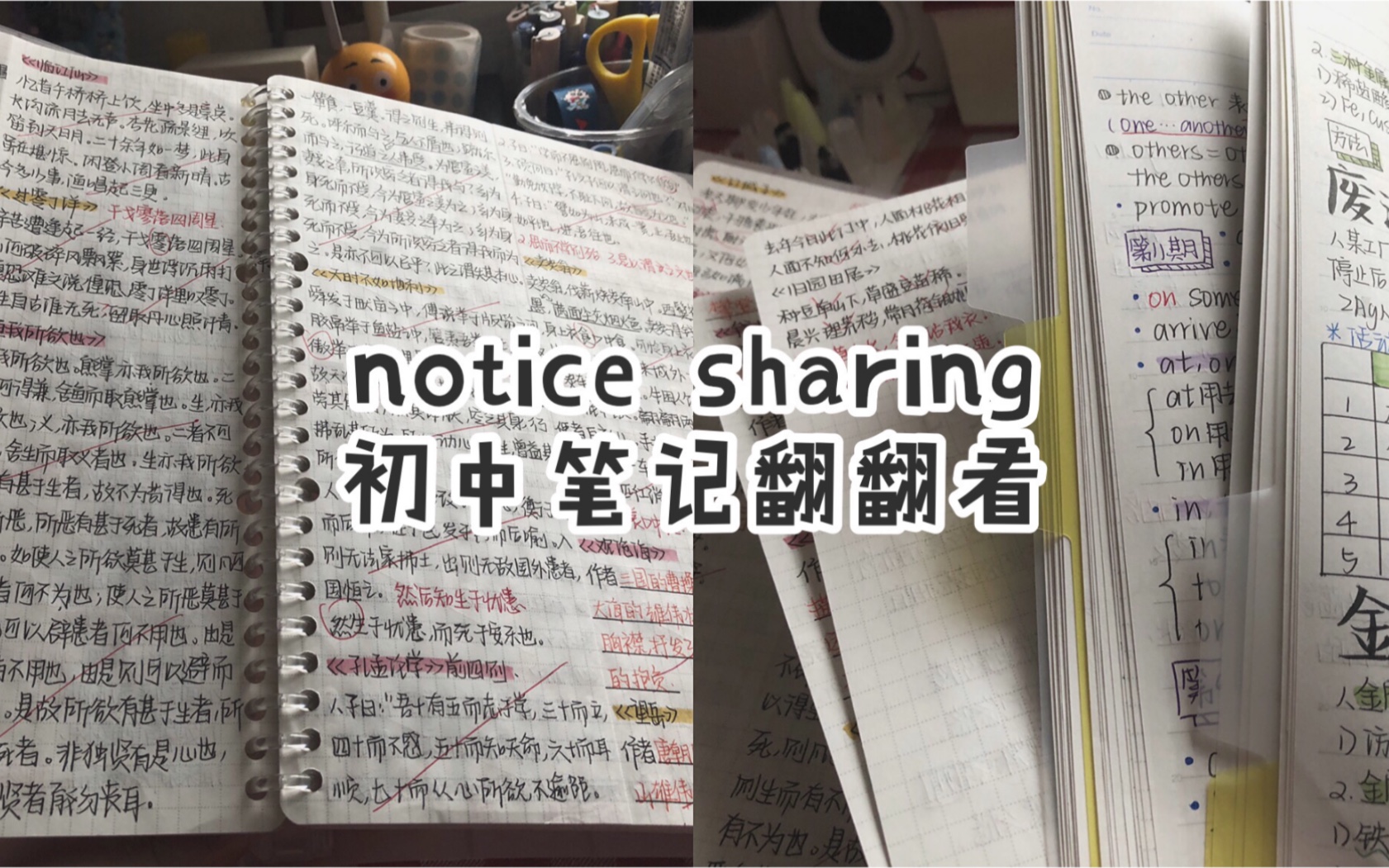 notice sharing|准高一生的初三笔记翻翻看|语文|数学|英语|化学|死亡错题哔哩哔哩bilibili