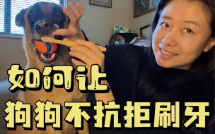 Download Video: 如何训练狗狗刷牙？