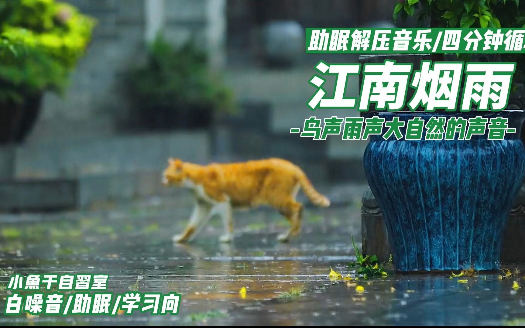 [图]【4分钟循环/助眠解压音乐】 假期闭上眼感受雨声行人鸟儿、大自然的声音