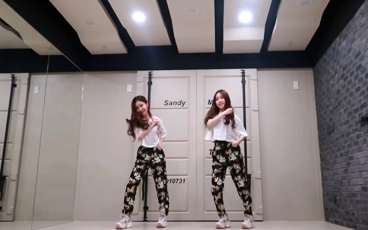 台湾双胞胎网红姐妹花 sandy&mandy 舞蹈自学教程 itzy《not shy》
