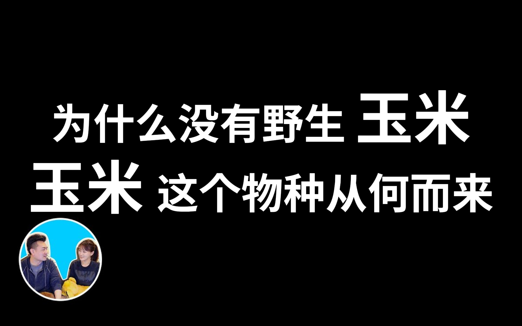 [图]预言故事,为什么没有野生的玉米,玉米这个物种从哪儿来 「无片尾」 #预言篇