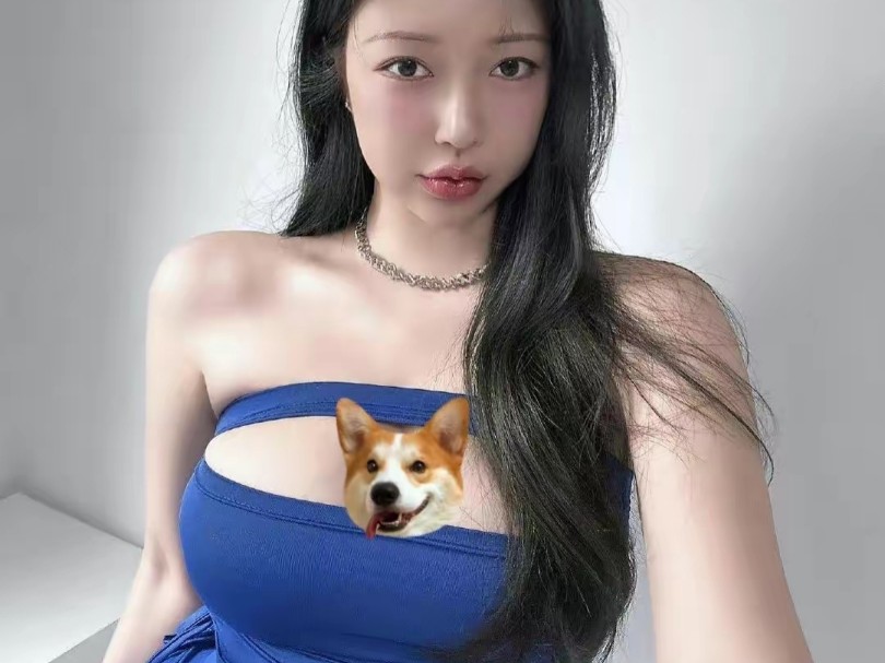 内衣模特t台秀