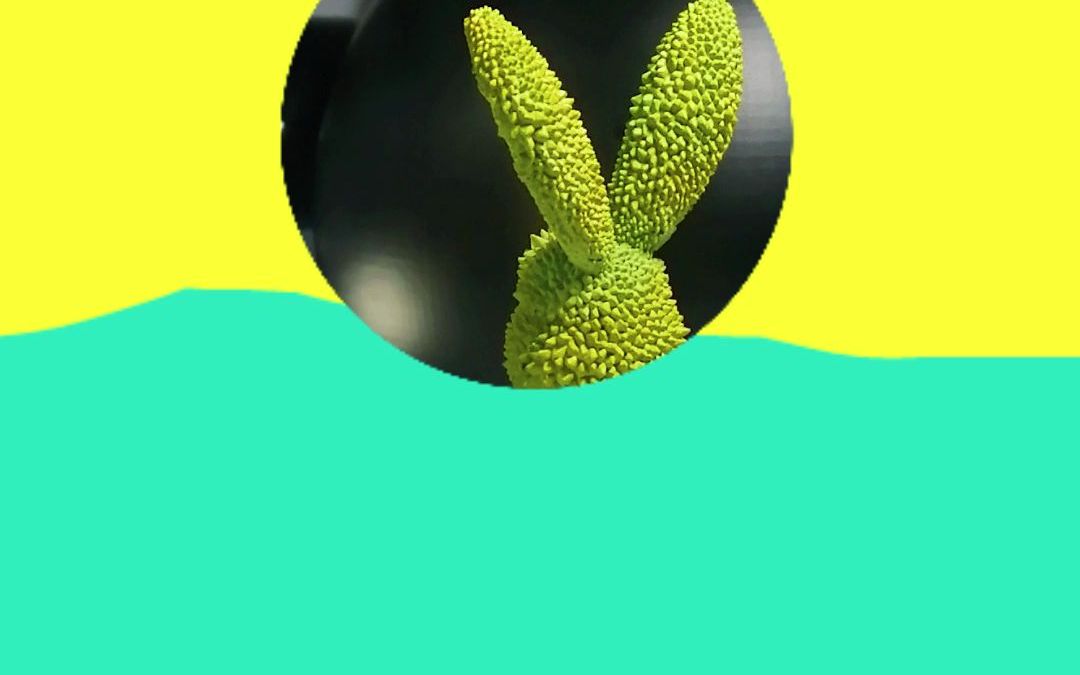 看局部猜手办继续!