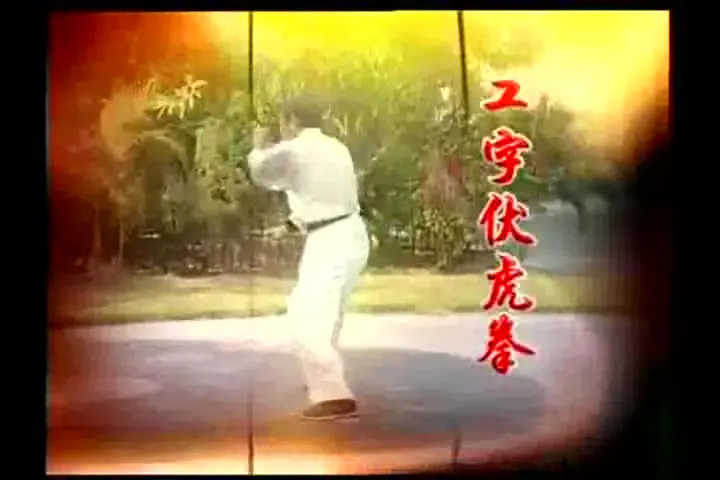 少林寺拳法（日本）_哔哩哔哩_bilibili