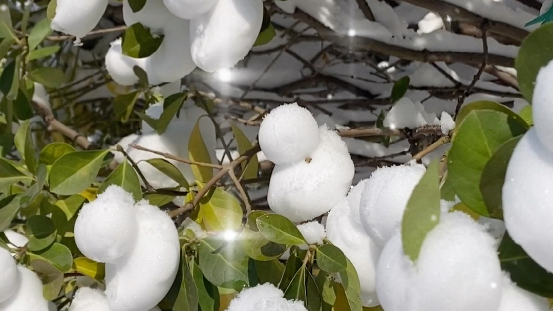 [图]瑞雪兆丰年！一起玩雪吧！