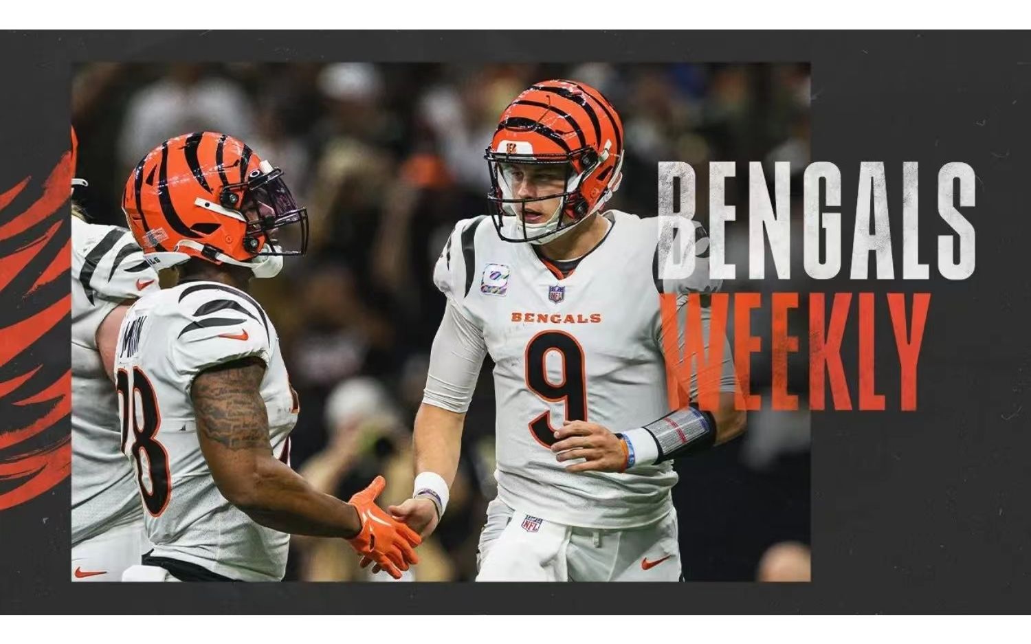 【辛辛那提猛虎】第七周周报将迎战亚特兰大猎鹰