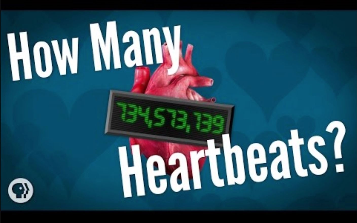 [图]【PBS】我们有多少次心跳？How Many Heartbeats Do We Get