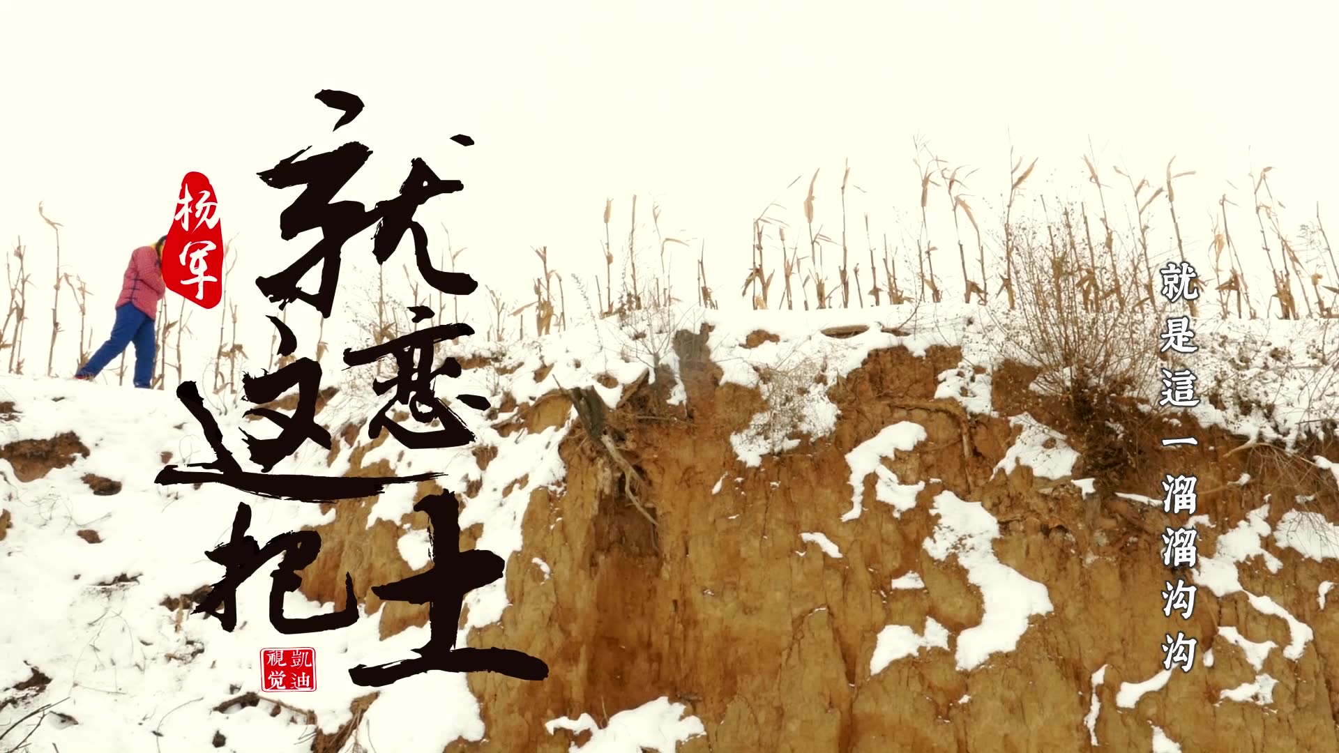 杨军《就恋这把土》_哔哩哔哩_bilibili