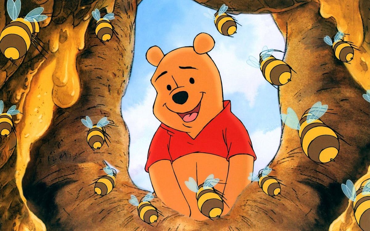 动画片熊吃蜂蜜图片