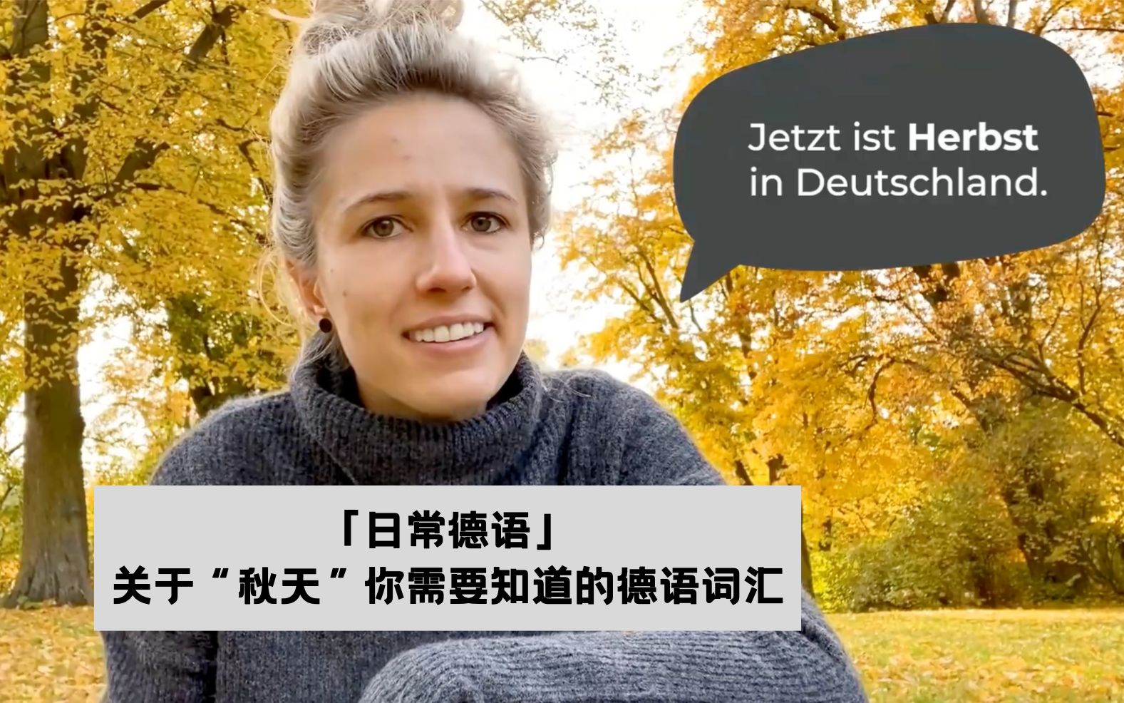 【德语词汇】关于“秋天” 你需要知道的德语单词  Learn German with Anja  Folge 174  Autumn Vocabulary哔哩哔哩bilibili