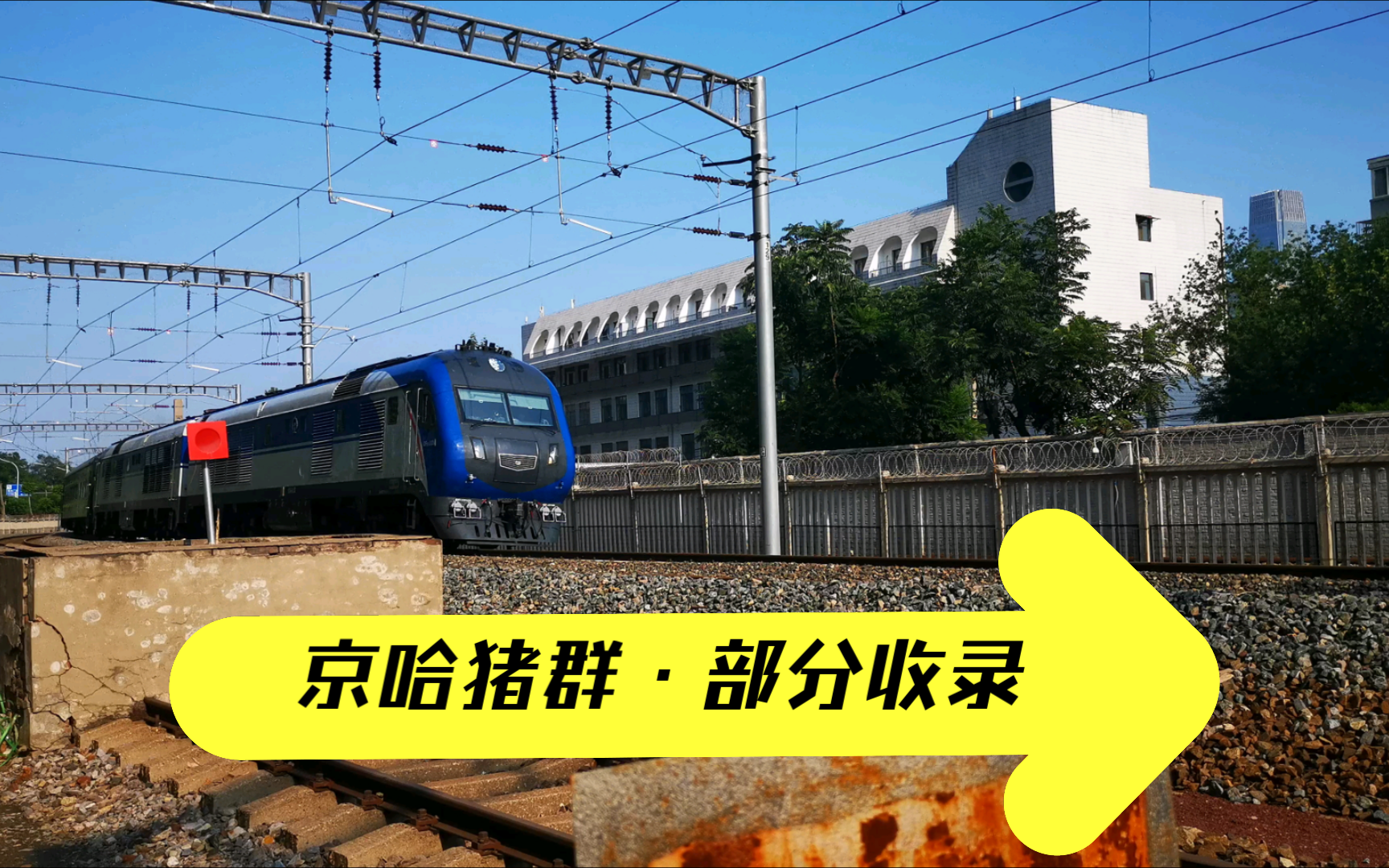 【京哈线】猪头锦集