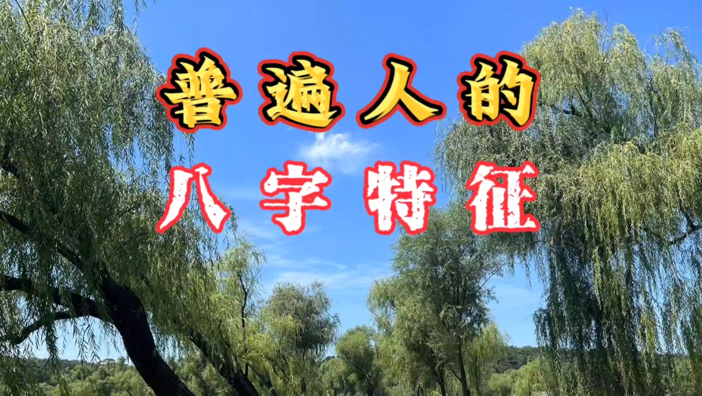 八字命理:普遍人的八字特征哔哩哔哩bilibili