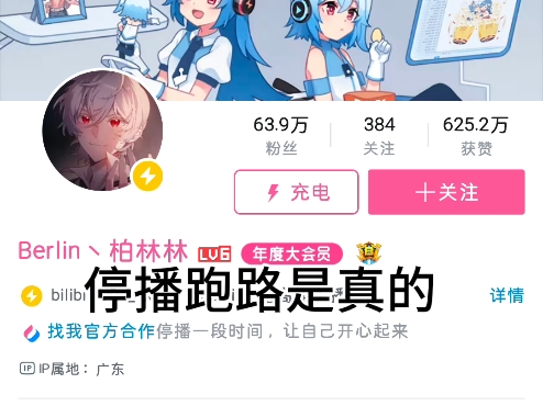 柏林林塌房加强版总结哔哩哔哩bilibili