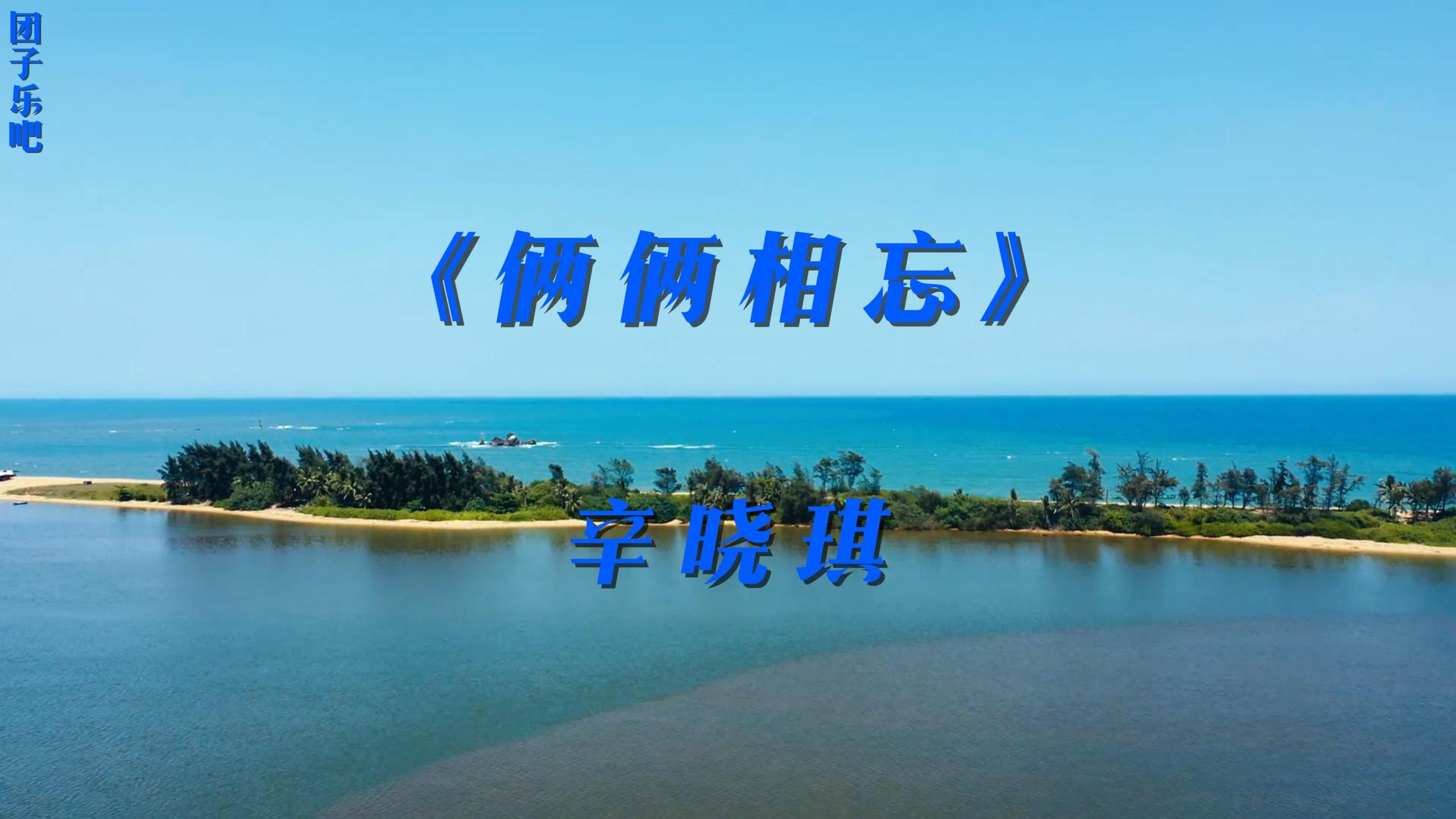 《俩俩相忘》辛晓琪哔哩哔哩bilibili