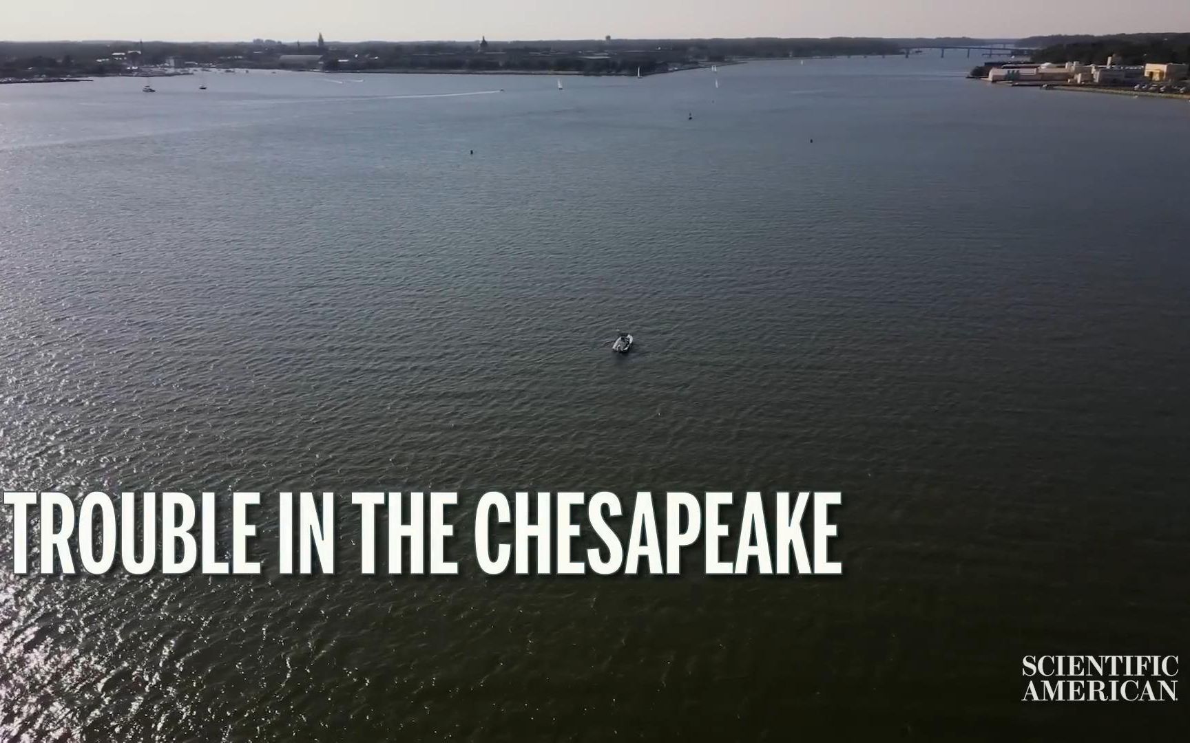 【科学美国人】切萨皮克会成为一个死区吗?Will the Chesapeake Become a Dead Zone?哔哩哔哩bilibili