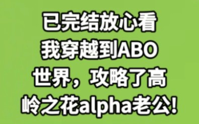 【全文已完结】我穿越到ABO世界,被分配了高岭之花alpha老公!哔哩哔哩bilibili