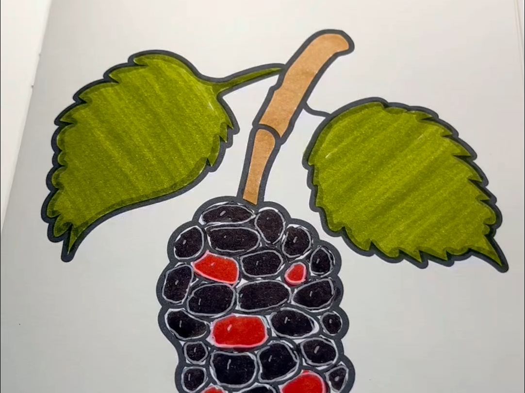 30款水果涂色书