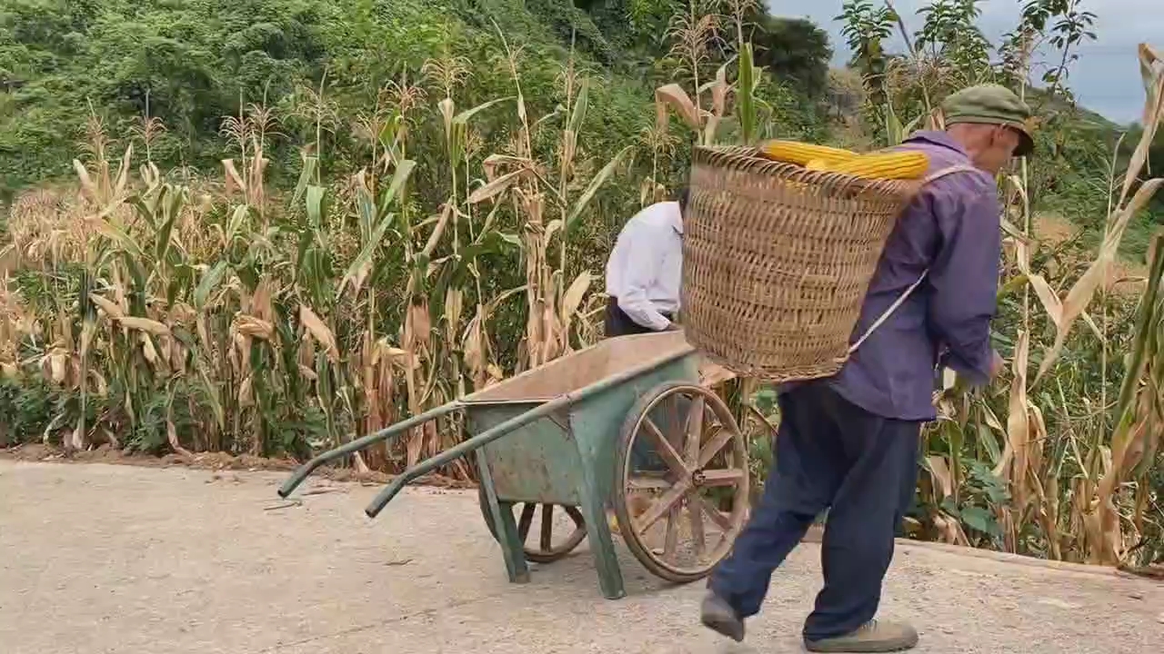 [图]最后的棒棒 现在的老甘比在自力巷幸福多了