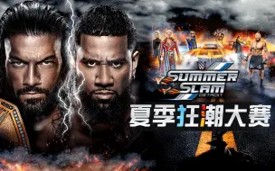 Download Video: 【WWE 超级大赛】夏季狂潮大赛 下集