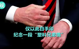 白峯会 搜索结果 哔哩哔哩 Bilibili