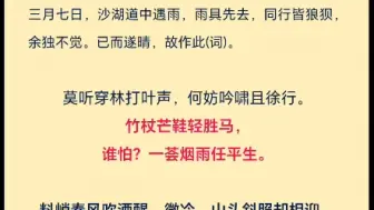 竹杖芒鞋轻胜马，谁怕？一蓑烟雨任平生——苏轼