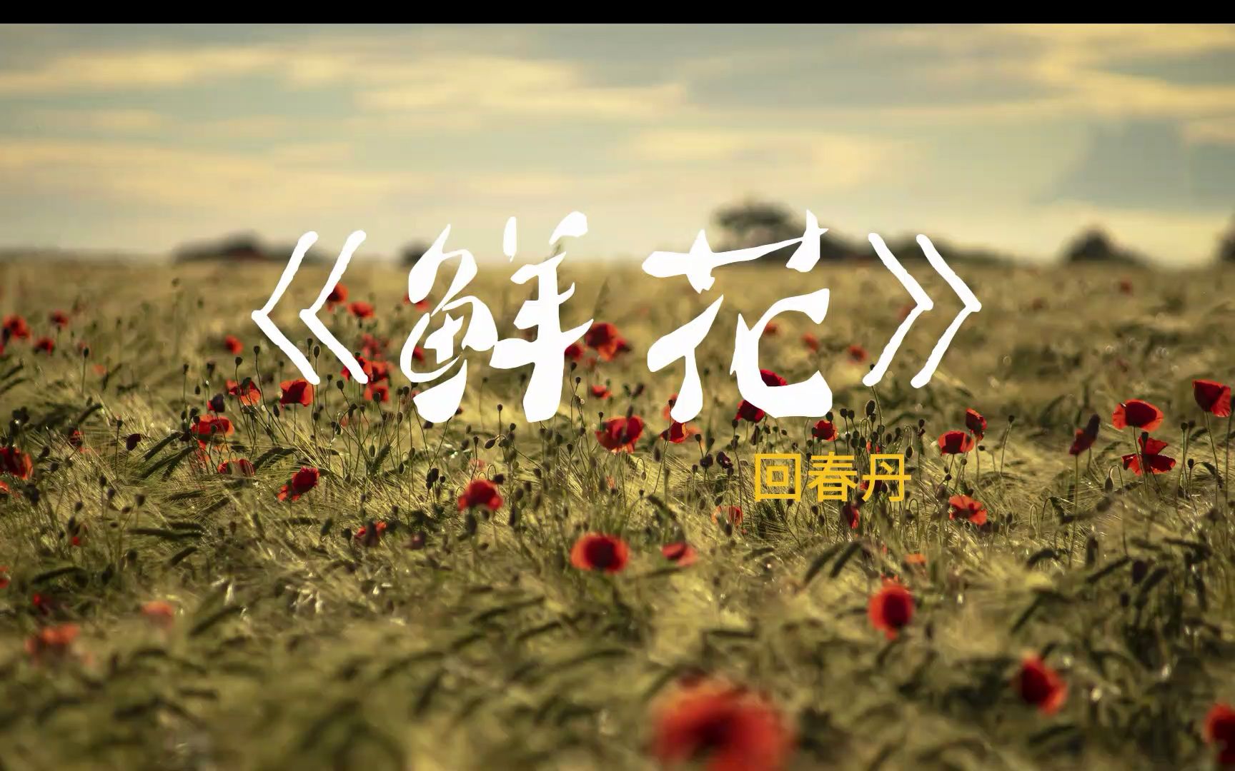 有我在的地方,永远开满了鲜花,治愈你的白发...回春丹《鲜花》--hifi