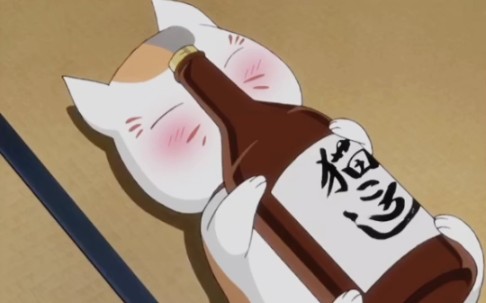 爱喝酒的猫咪老师_哔哩哔哩_bilibili