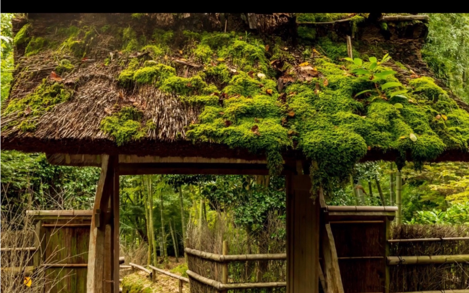 京の都～直指庵