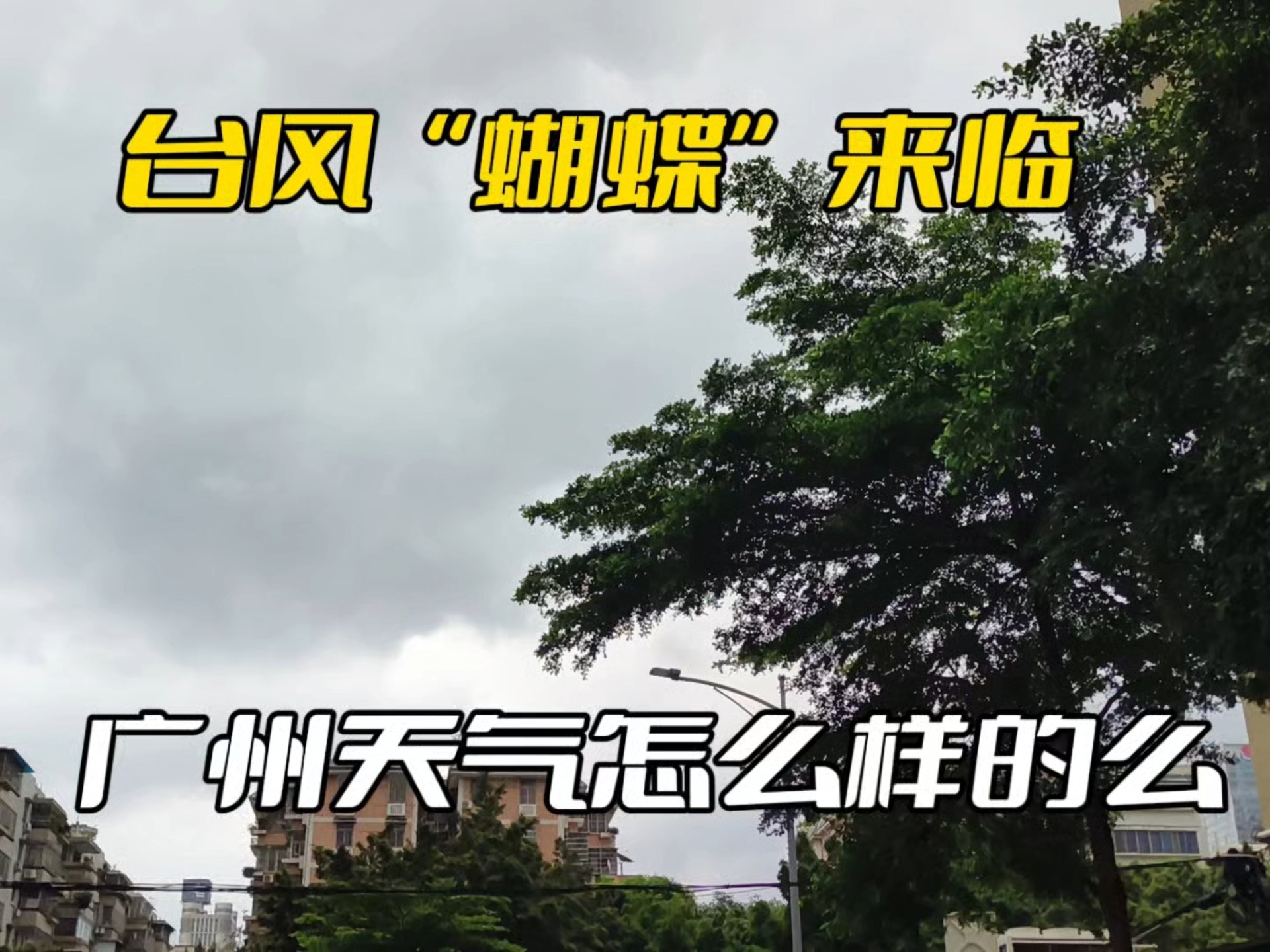广州的天气怎么样预报 广州的天气怎么样预报