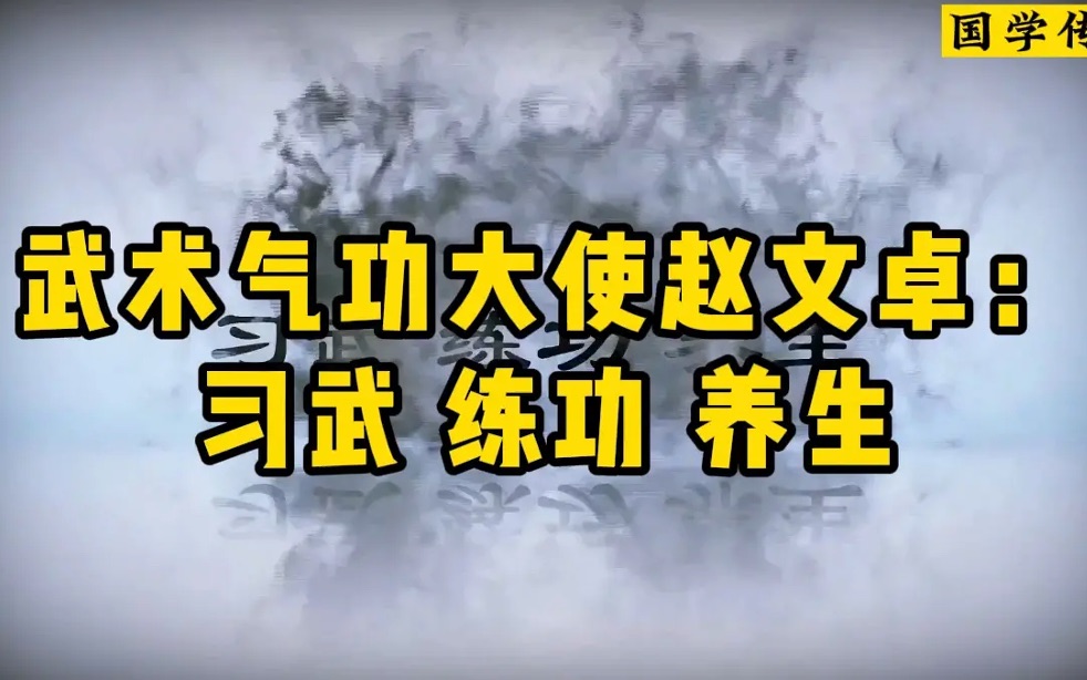 [图]武术健身大使赵文卓合集 传承习武练功养生大法