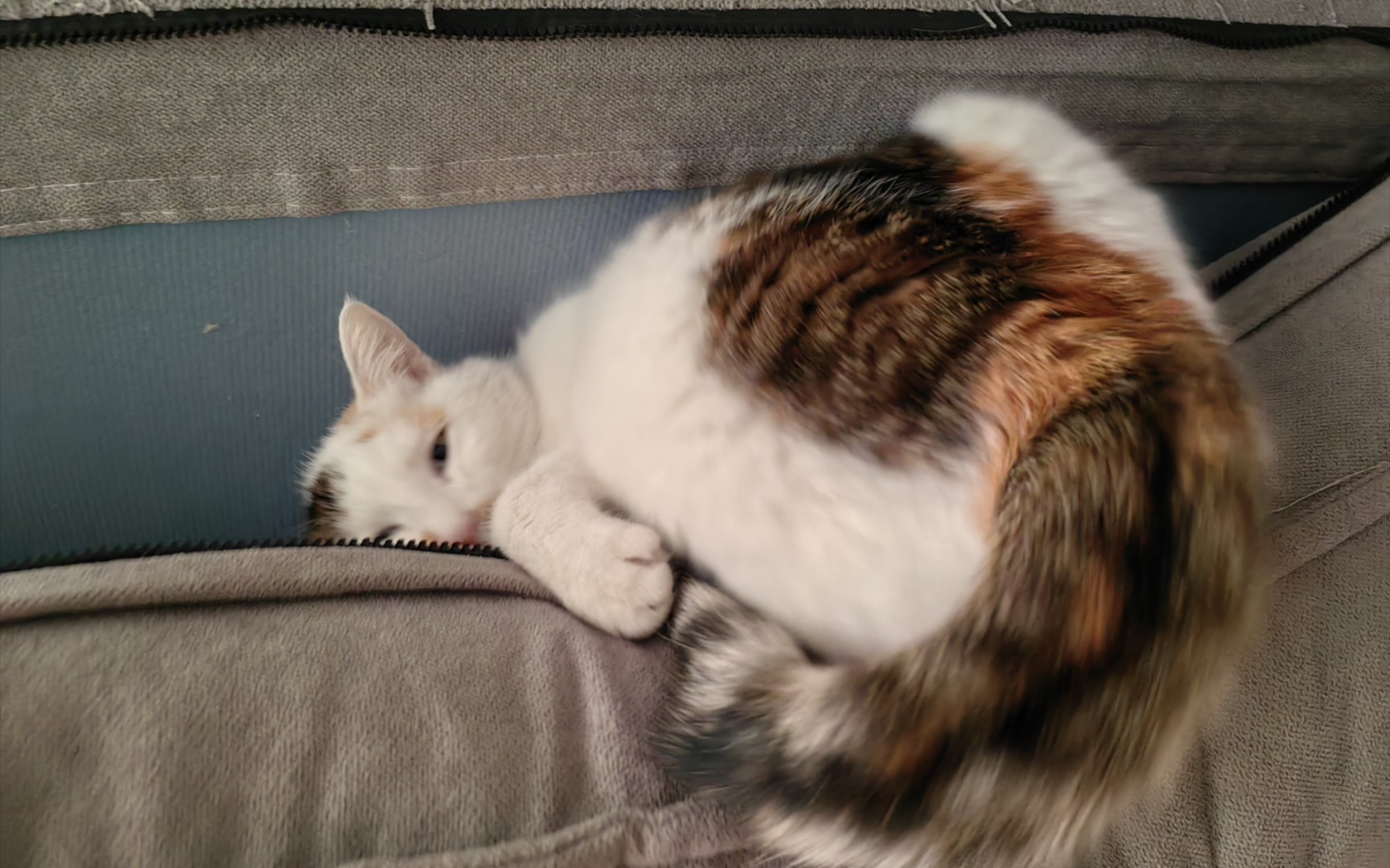 掉里面就接着睡