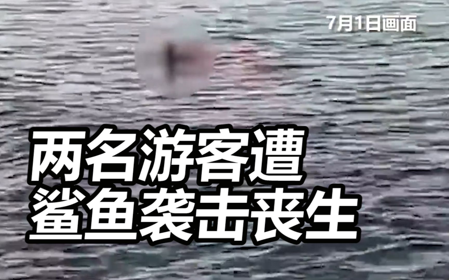 两名游客遭鲨鱼袭击丧生 埃及宣布涉事水域禁止所有海上活动哔哩哔哩bilibili